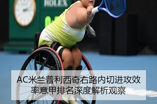 AC米兰普利西奇右路内切进攻效率意甲排名深度解析观察